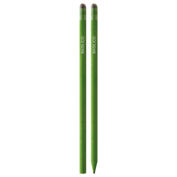 PIANTAMI - PD574BB